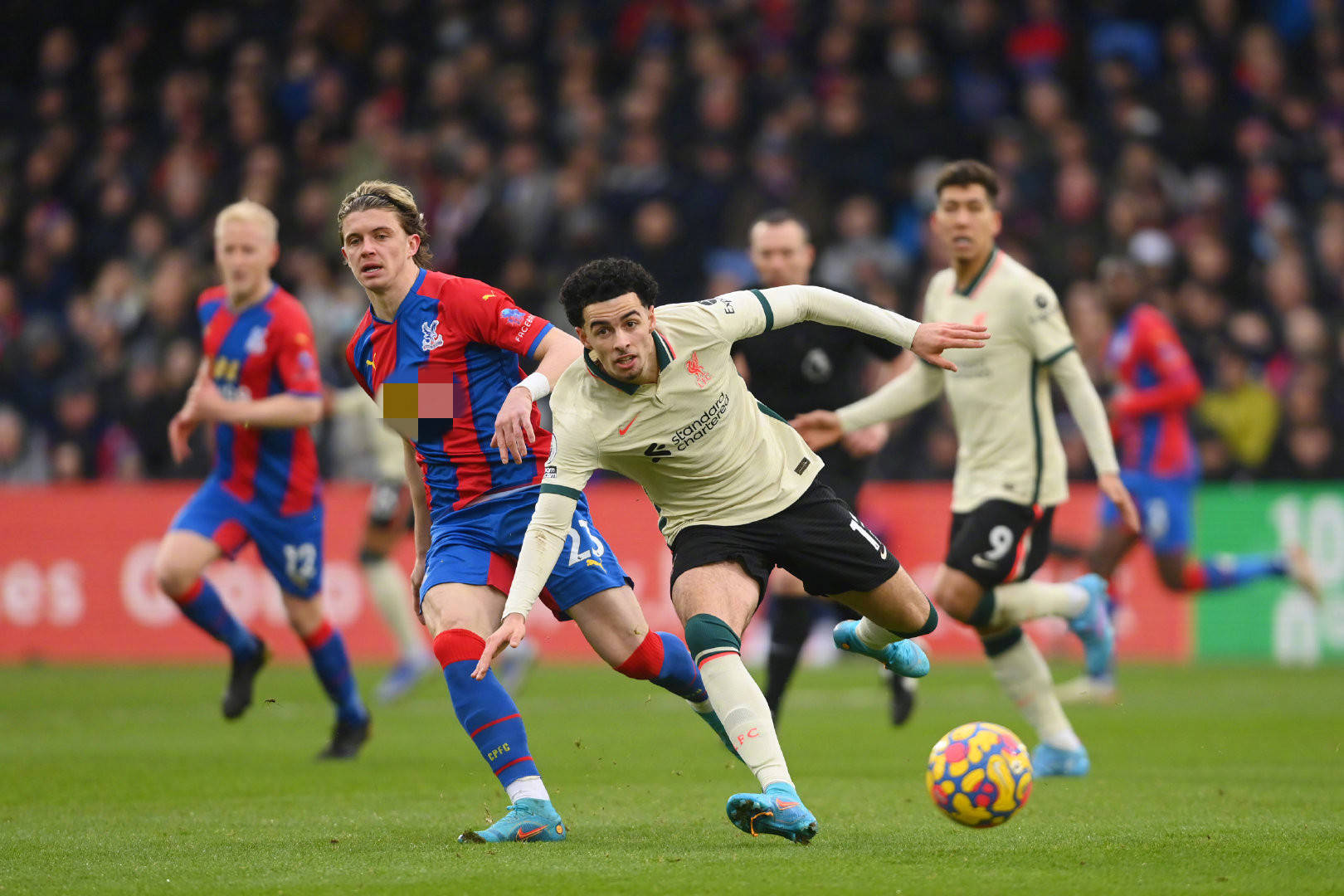 我们需要了 我们需要了